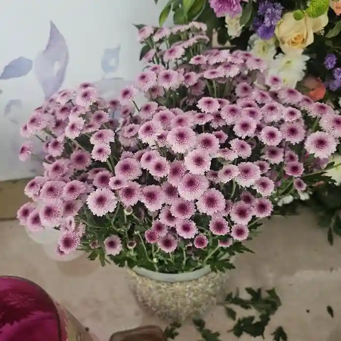 Book Stylish Floral Welcome Board for Events in Bangalore